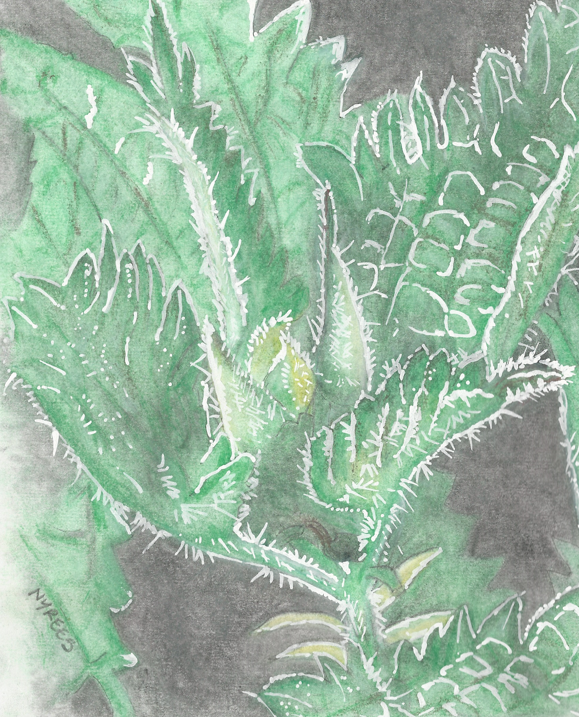 The Nettle Epoch 20/20